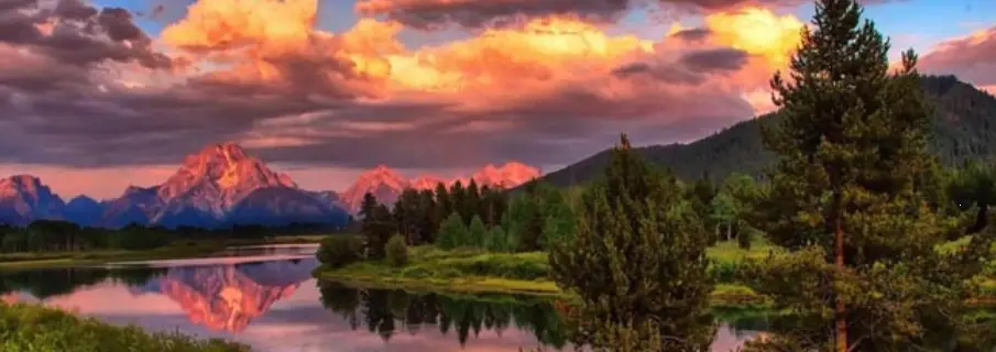 The Top 5 AI-Driven SEO Trends Shaping 2026